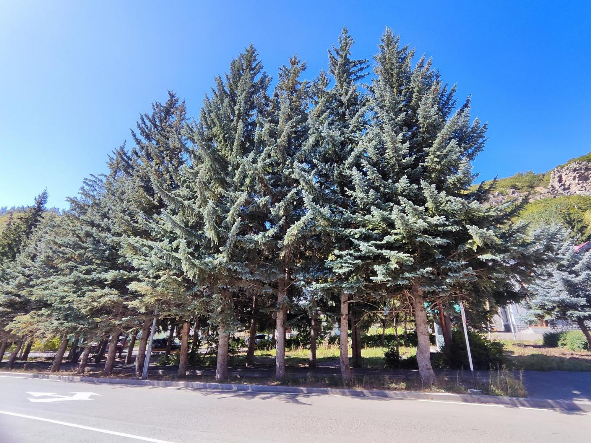 Jermuk Mini Apartment Экстерьер фото